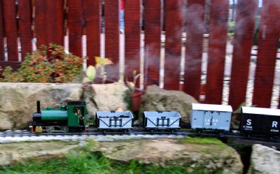 mike b's bertie tackles the bank on the strawberry falls line.